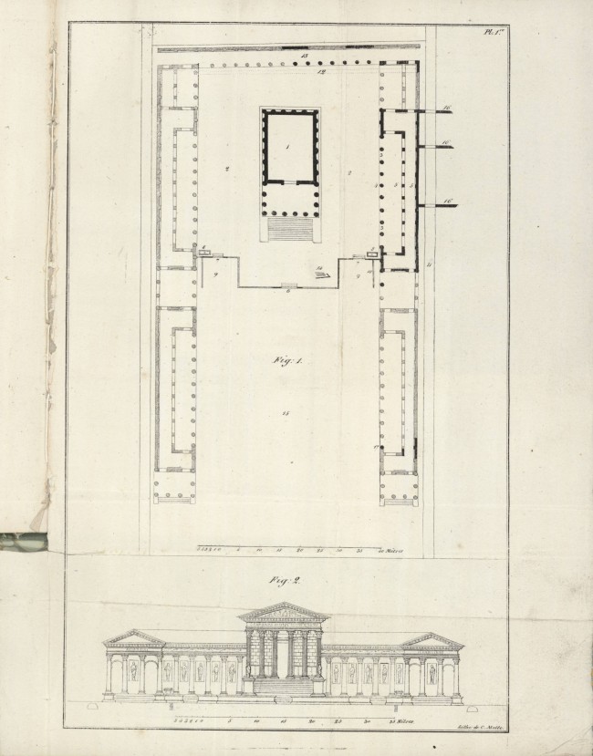 Plan d'ensemble et coupe sur la largeur du Forum