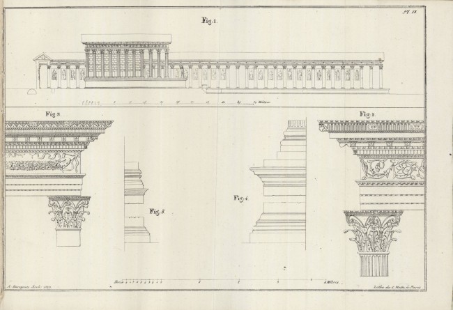 Coupe sur la longueur du Forum et détails d'architecture